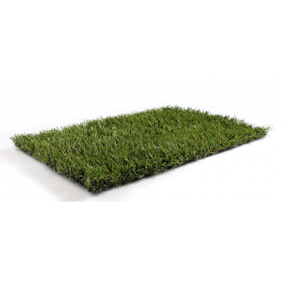 Grass